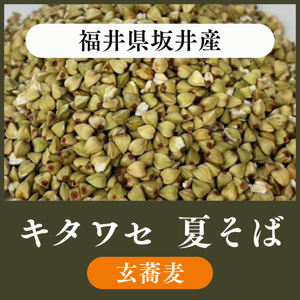 【玄蕎麦1袋22.5kg】福井県坂井産 キタワセ(夏そば)