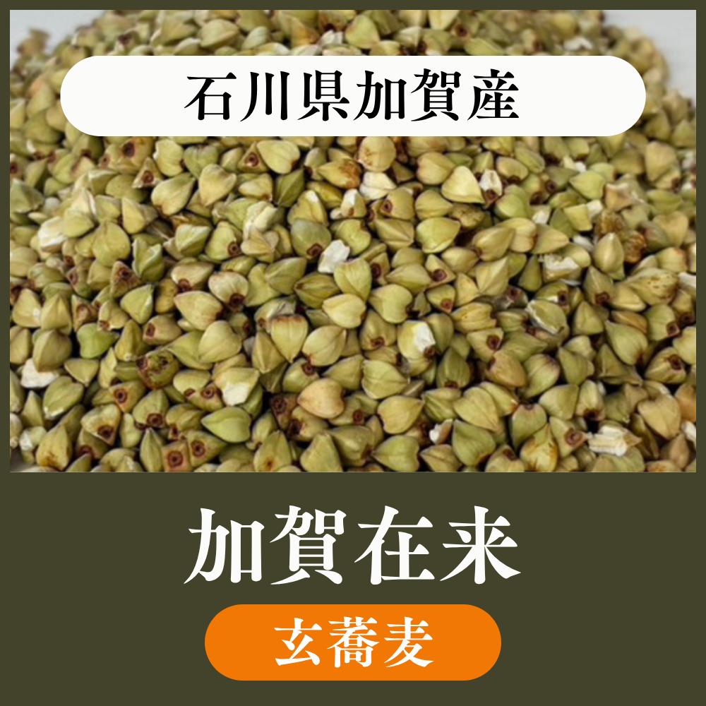 【玄蕎麦10kg・22.5kg】石川県加賀産 加賀在来