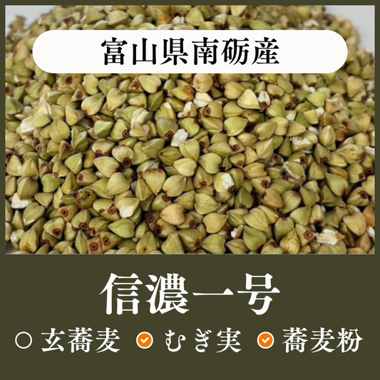 富山県南砺産　信濃一号
