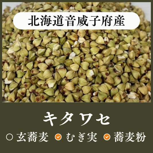 北海道音威子府産　キタワセ