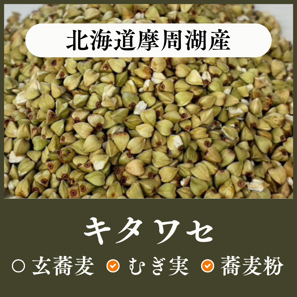 北海道摩周湖産　キタワセ