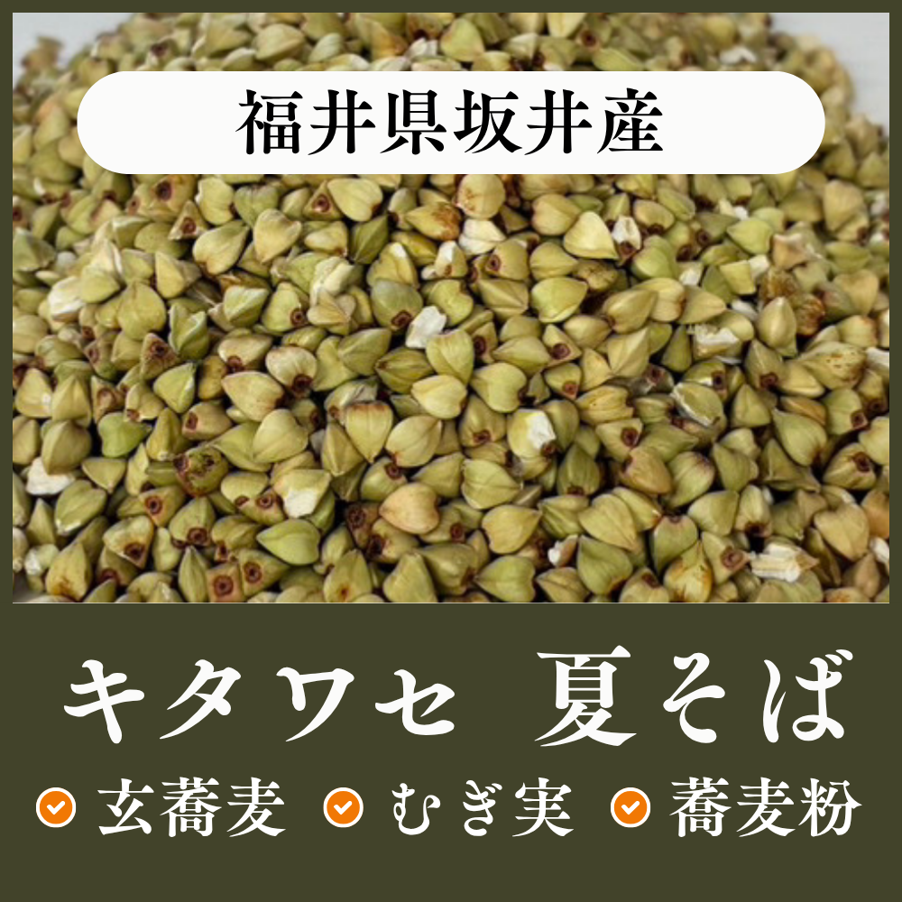 福井県坂井産　キタワセ（夏そば）
