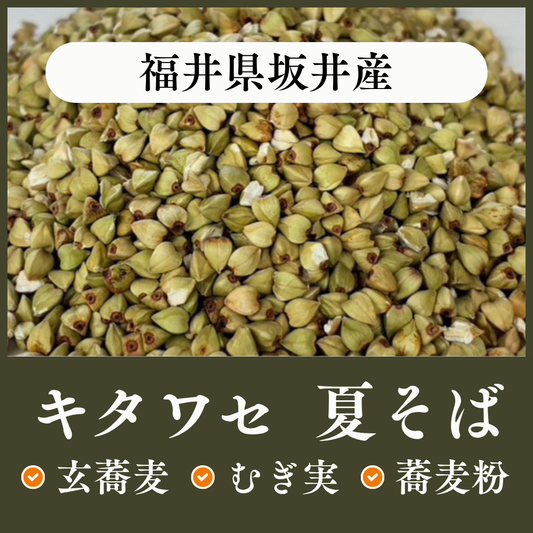 福井県坂井産　キタワセ（夏そば）