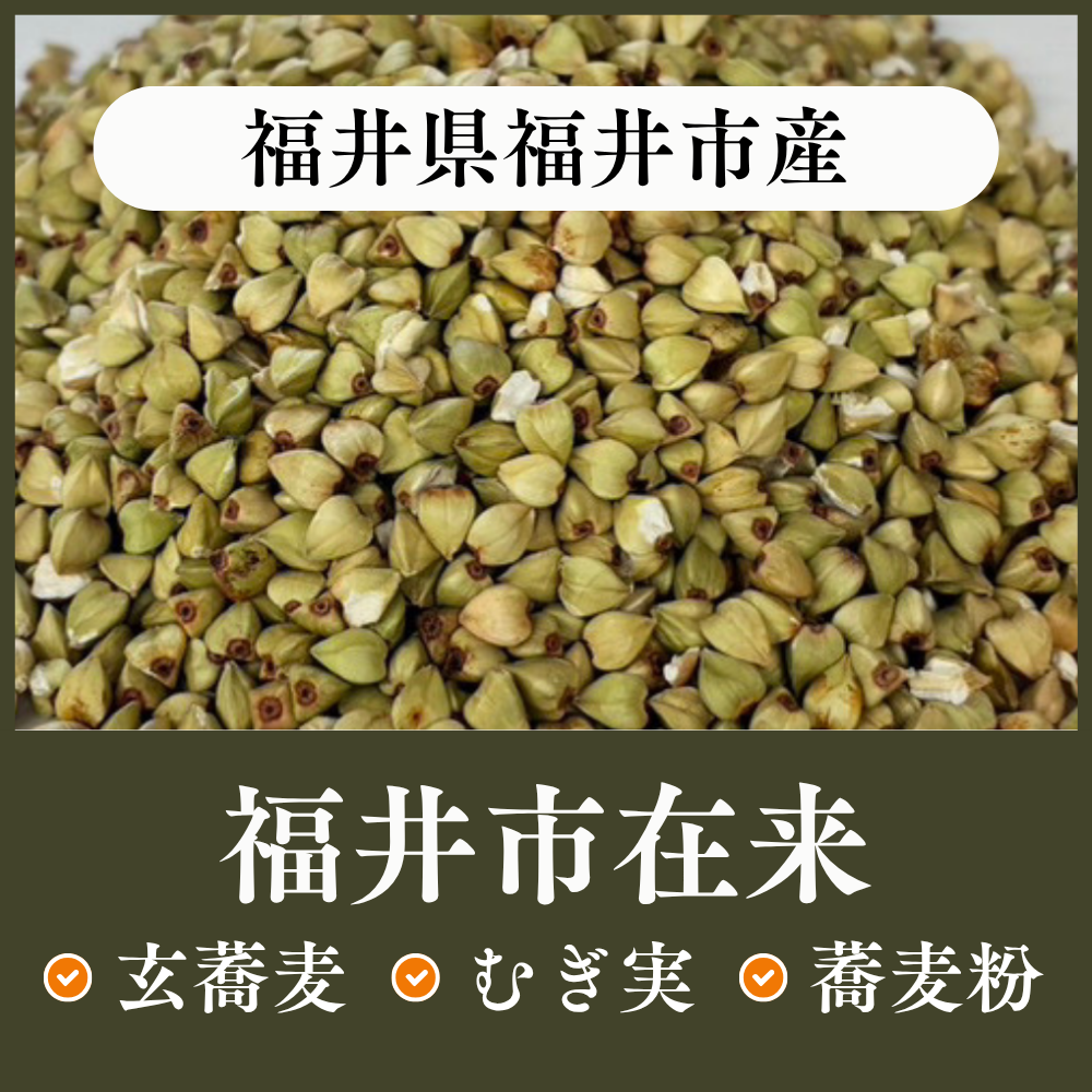 福井県福井市産　在来種