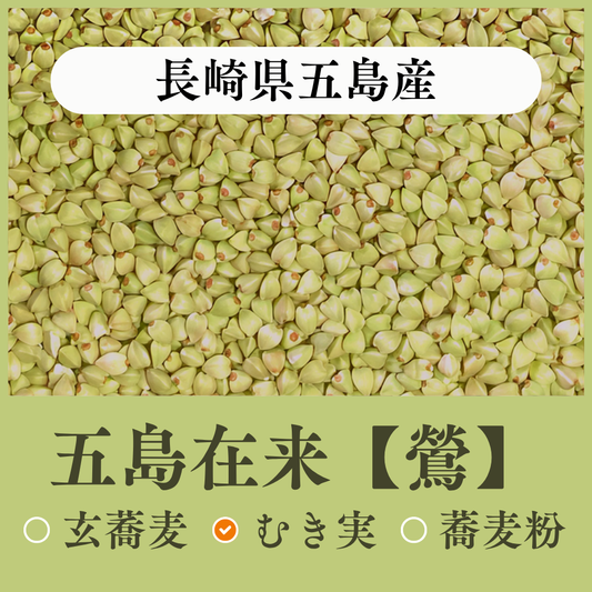 【鶯】長崎県五島産　五島在来