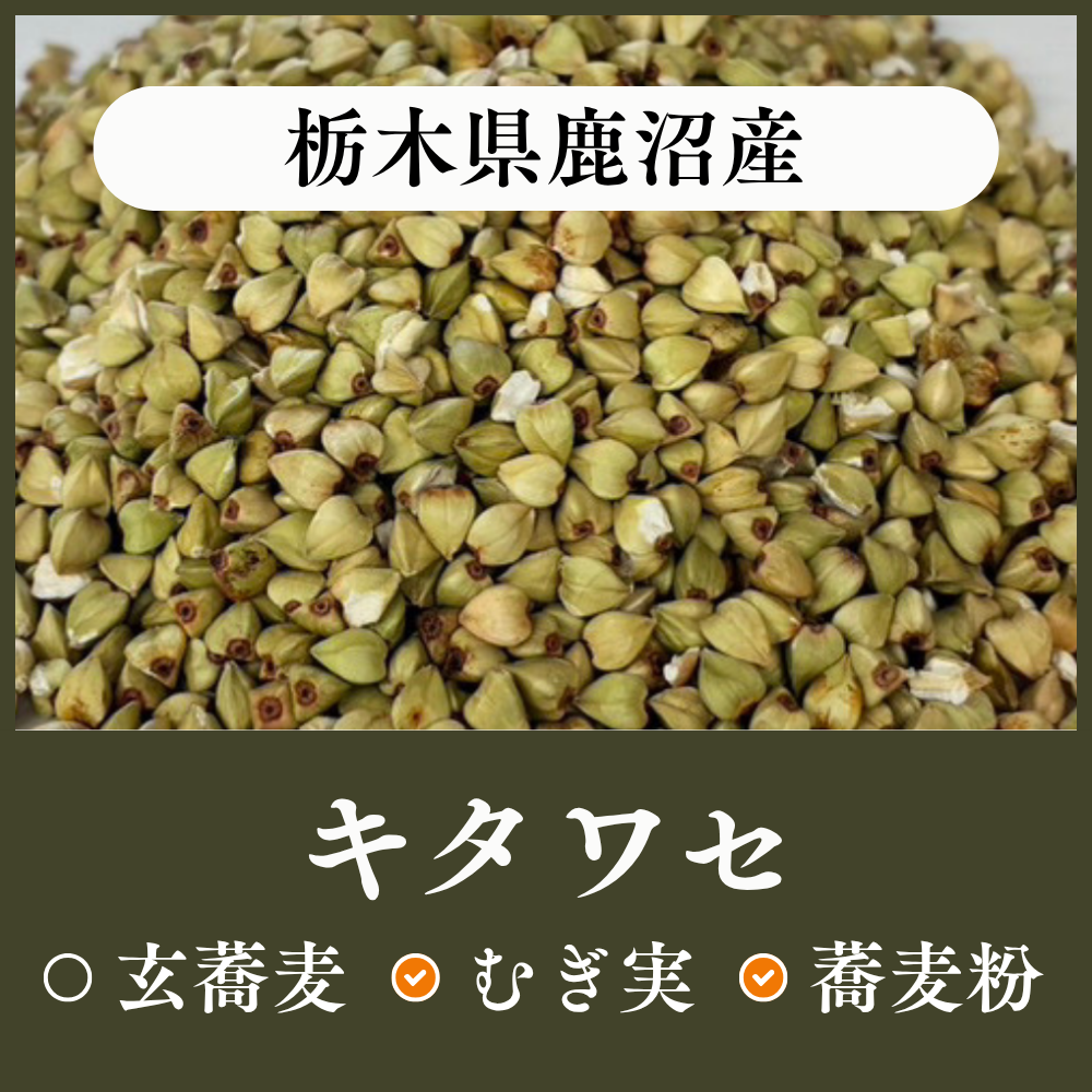 栃木県鹿沼産　キタワセ