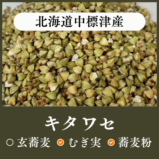 北海道中標津産　キタワセ