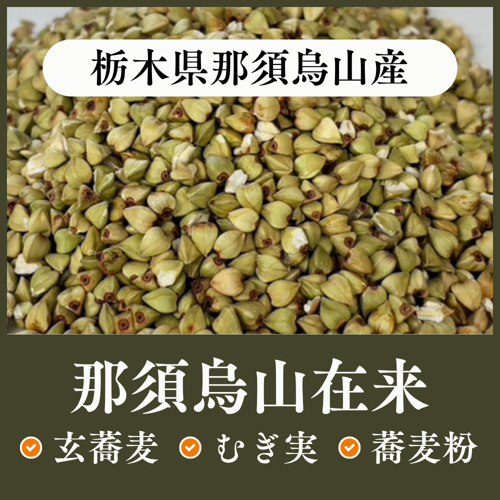 栃木県那須烏山産　那須烏山在来
