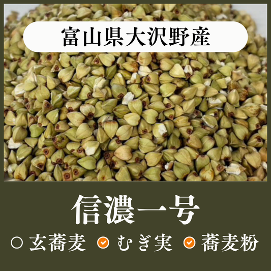 富山県大沢野産　信濃一号