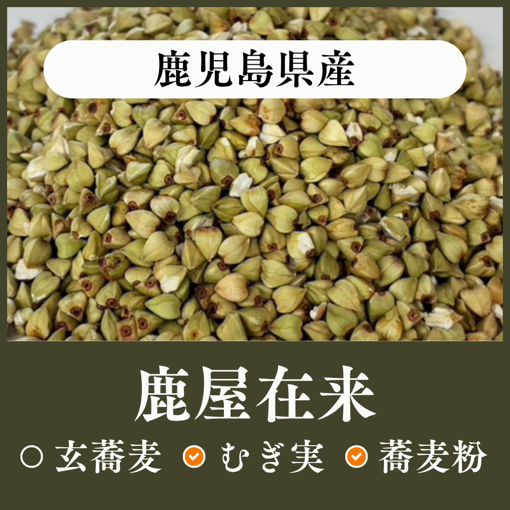 【鶯】鹿児島県南九州産　鹿屋在来