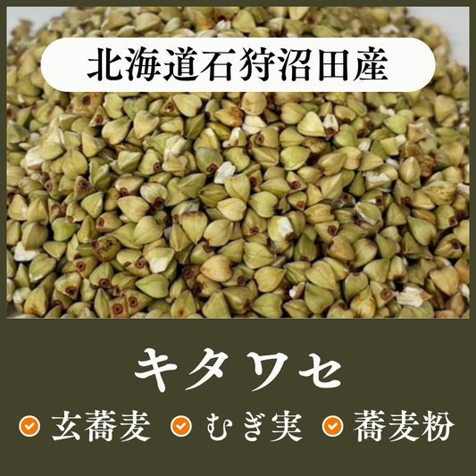 北海道石狩沼田産　キタワセ