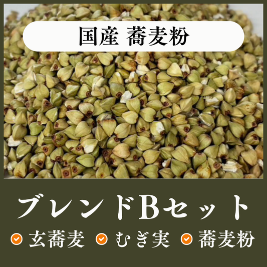 国産ブレンドBセット