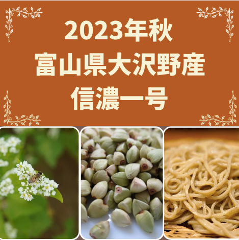 富山県大沢野産　信濃一号