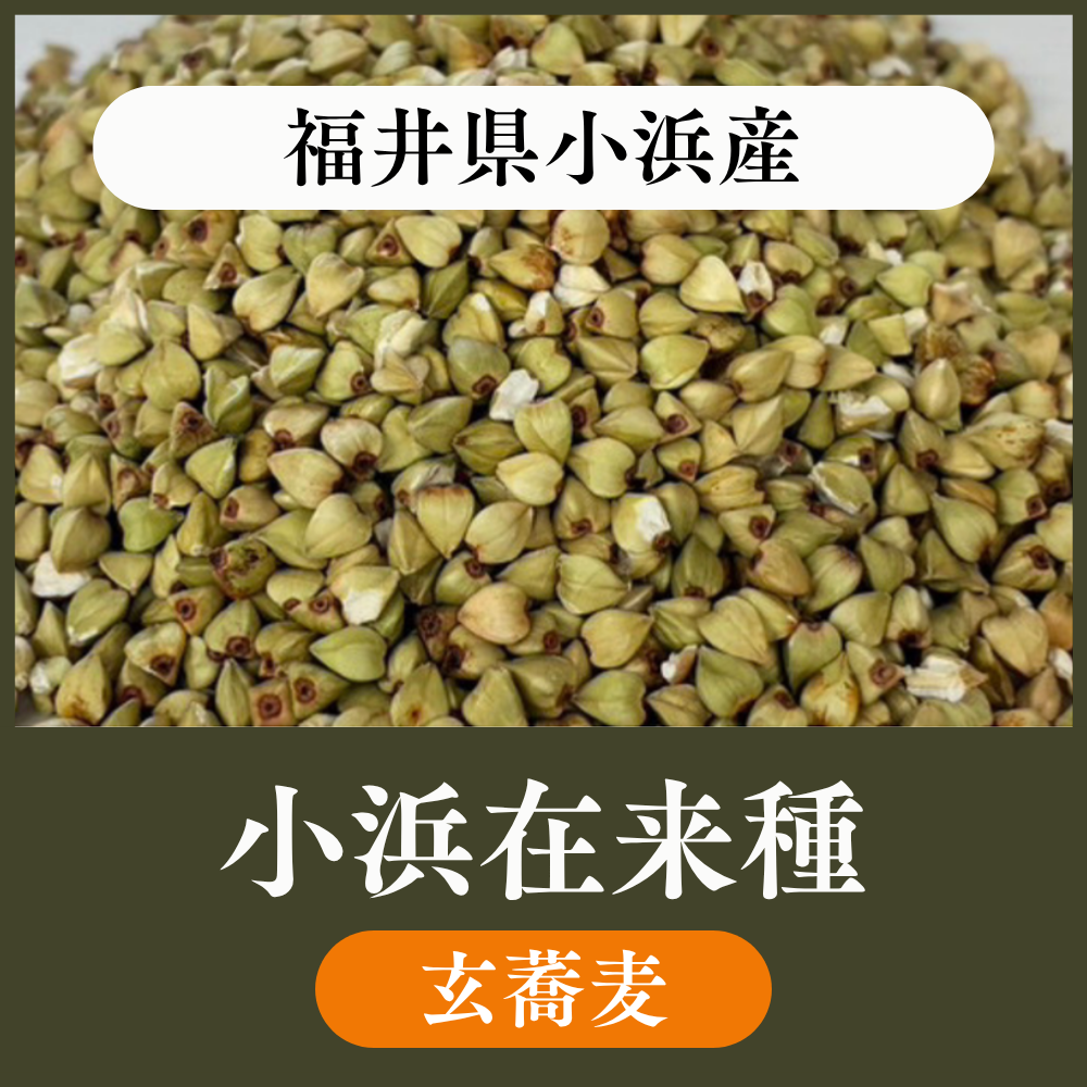 【玄蕎麦10kg・22.5kg】福井県小浜産　在来種
