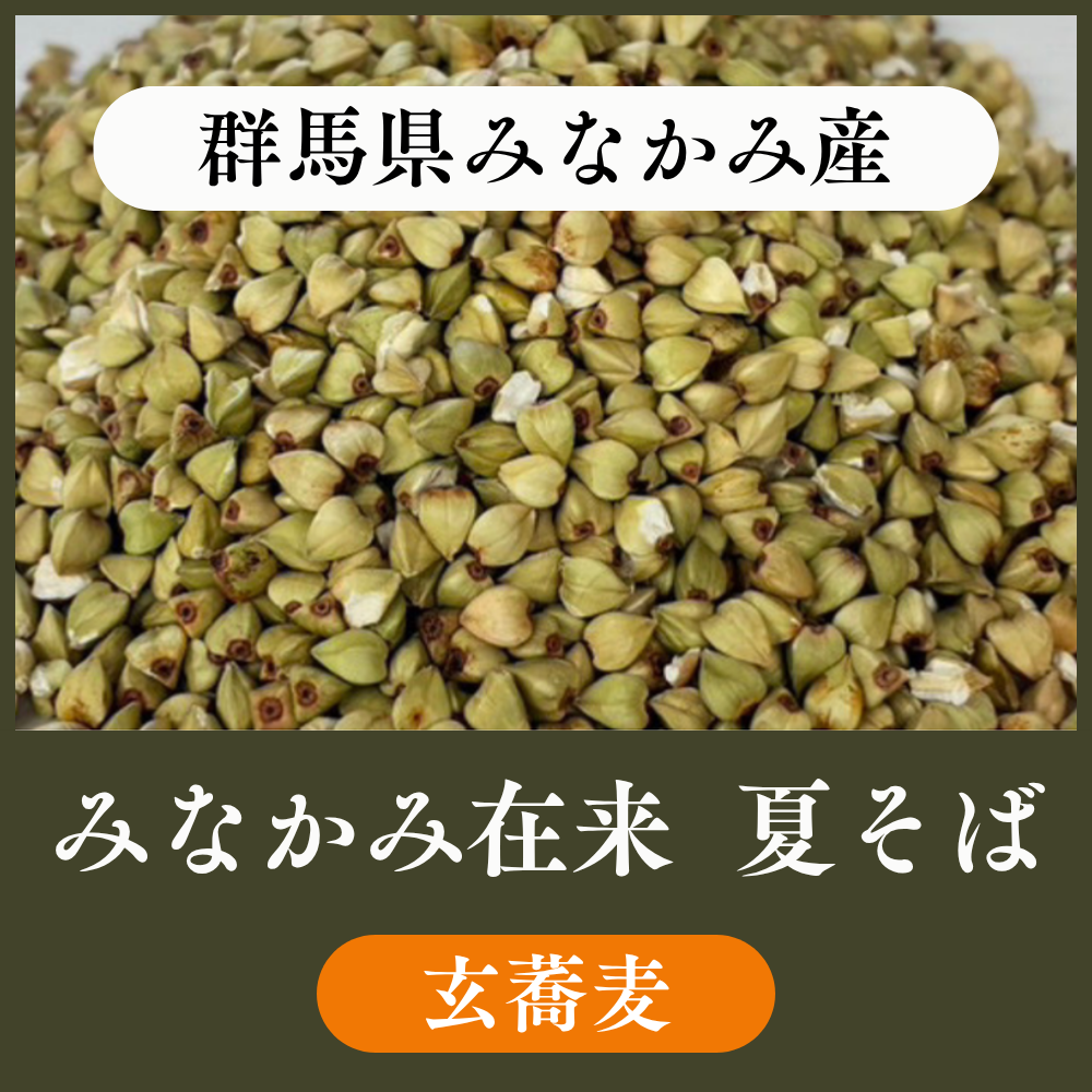 【玄蕎麦1袋22.5kg】群馬みなかみ産  みなかみ在来（夏そば）