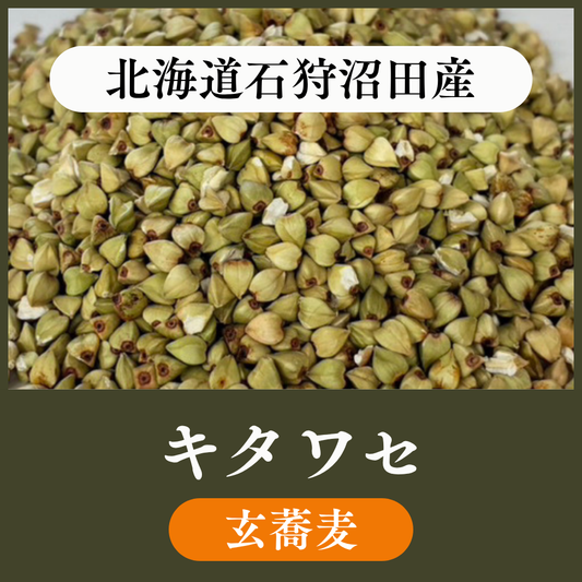 【玄蕎麦1袋20kg】北海道石狩沼田産　キタワセ