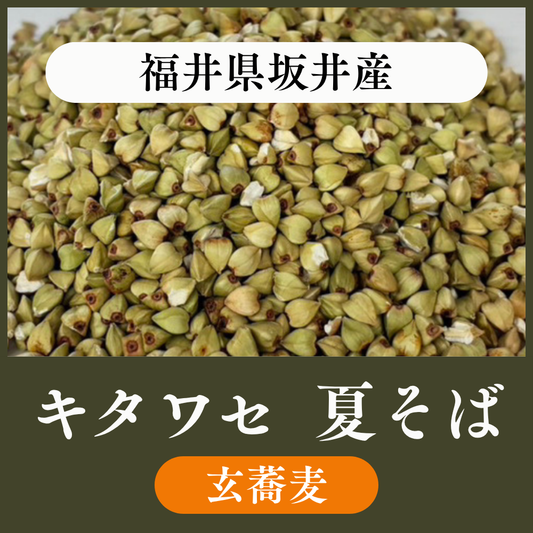 【玄蕎麦1袋22.5kg】福井県坂井産　キタワセ（夏そば）
