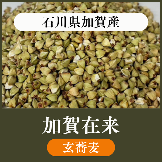 【玄蕎麦10kg・22.5kg】石川県加賀産　加賀在来