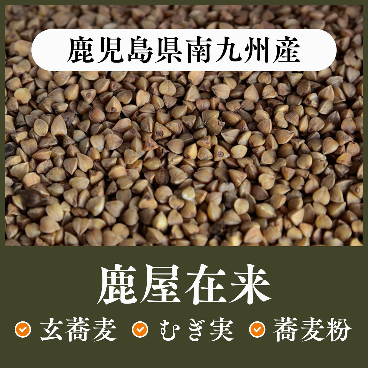 鹿児島県南九州産　鹿屋在来