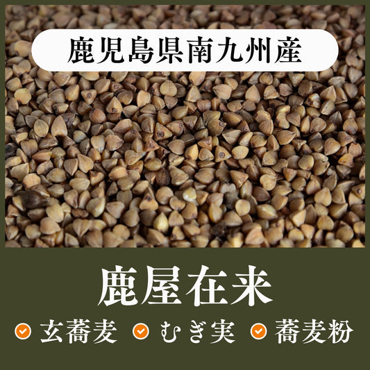 鹿児島県南九州産　鹿屋在来